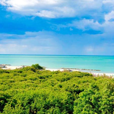 Vista panoramica della spiaggia di Misano Adriatico vicino all’Hotel Caravel B&B